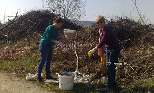 Zelena čistka 2013