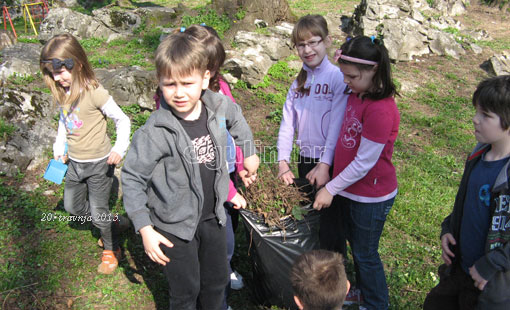 Zelena čistka 2013