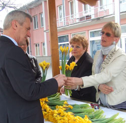 Cvijetom narcisa protiv raka dojke