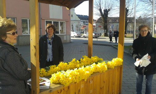 Obilježen Dan narcisa