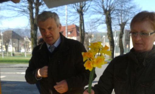 Dan narcisa - Cvijetom narcisa protiv raka dojke