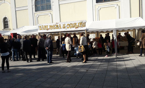 10. dani meda u Ogulinu „Zlatno saće„