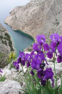 POZIV na predstavljanje knjige VELEBIT